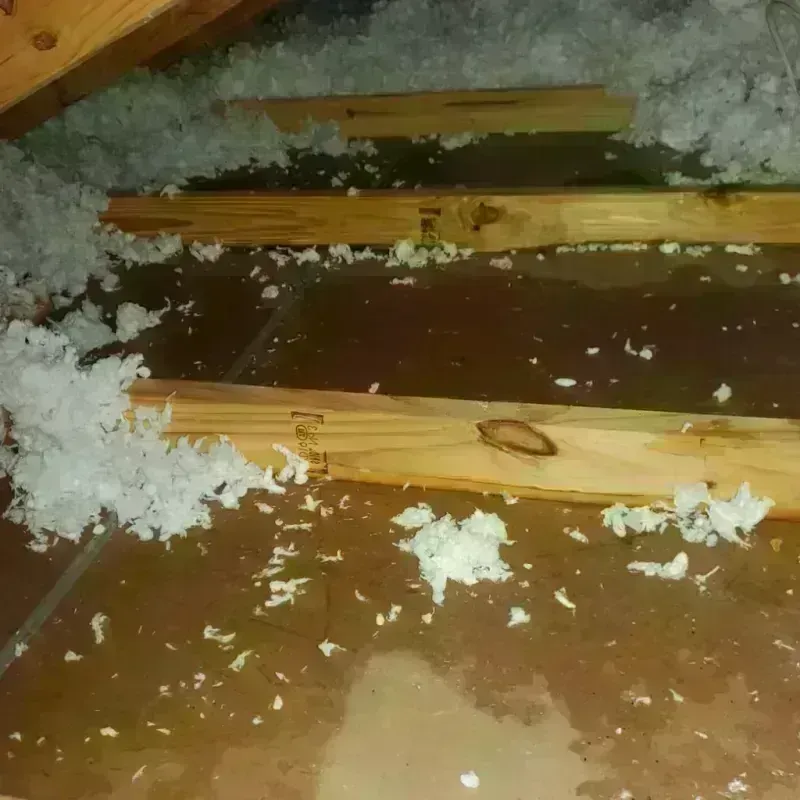 Attic Water Damage in Glencoe, IL