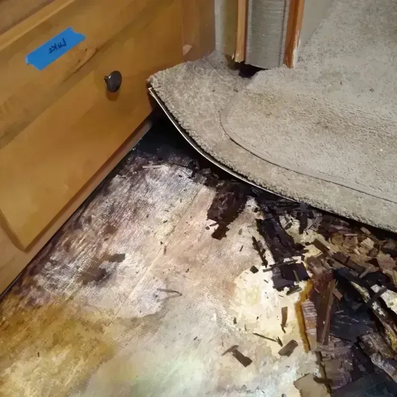 Wood Floor Water Damage in Glencoe, IL